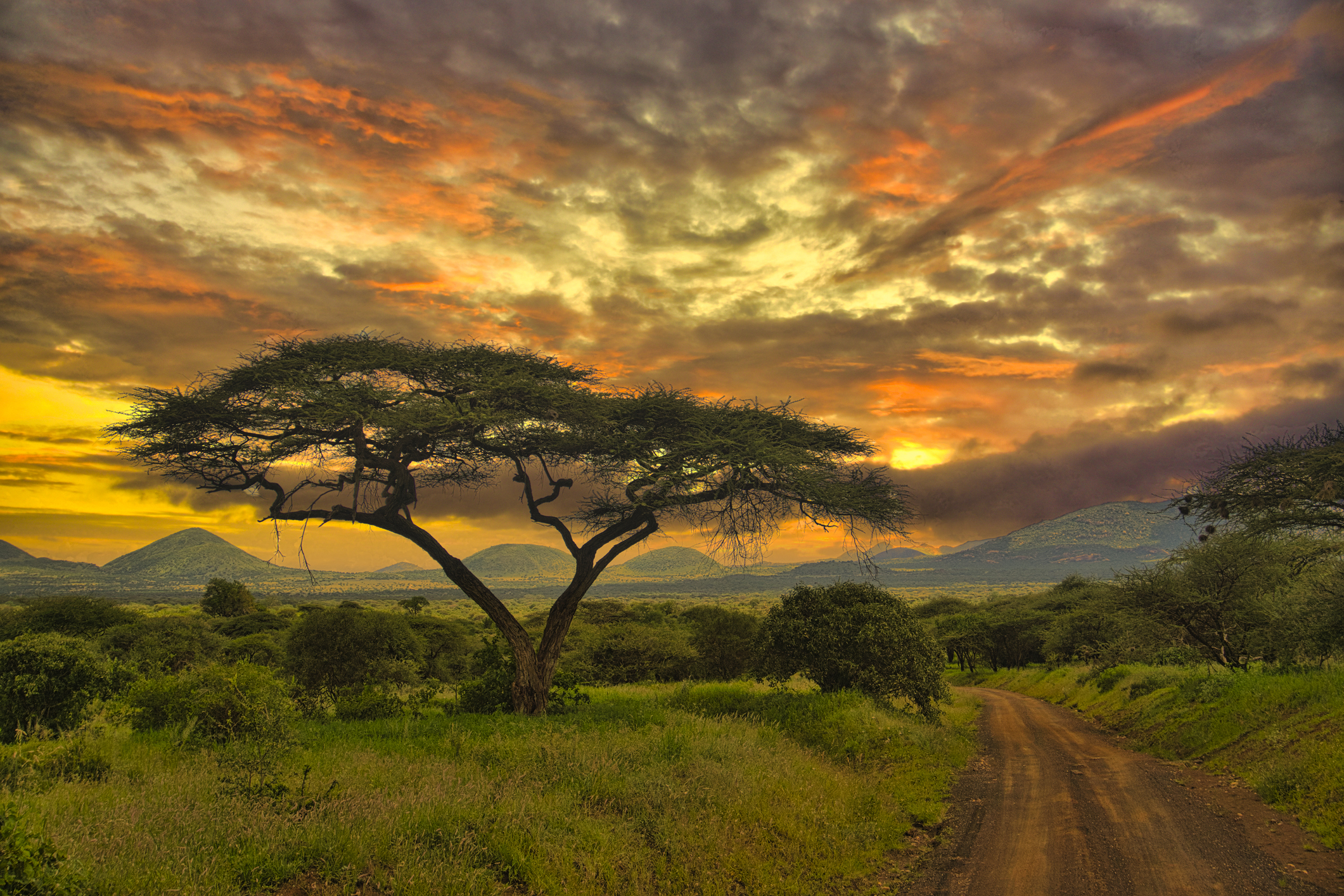 Sonnenuntergang und Sonnenaufgang im Tsavo-Ost-, Tsavo-West- und Amboseli-Nationalpark