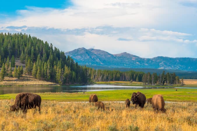 die-sch-nsten-nationalparks-der-welt