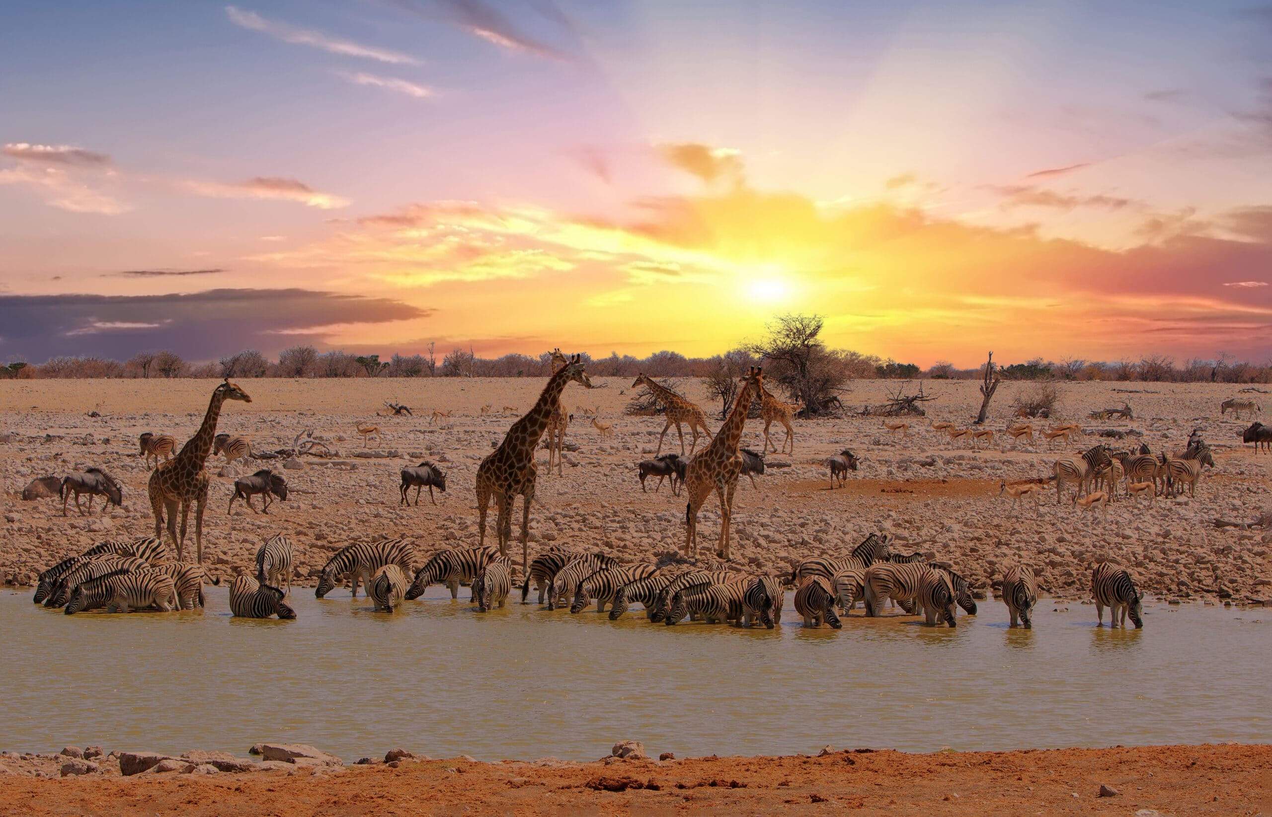 Wildtiere an einem Wasserloch in Afrika