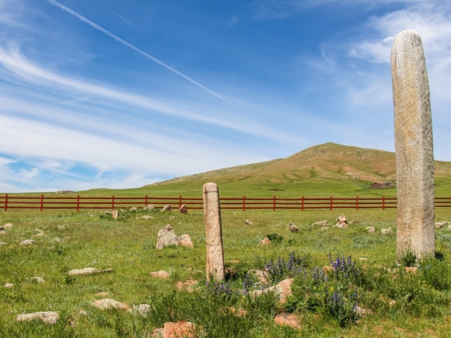 Grasland - Khovsgol - Mongolei