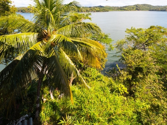 Aussicht - Isla Boca Brava - Panama