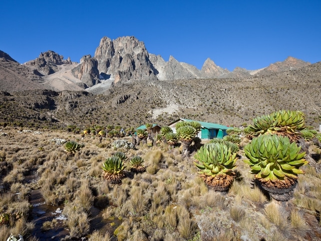 Shiptons Cave Camp - Mount Kenya - Kenia
