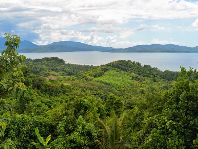 Dschungel-Panorama - Bohol - Philippinen