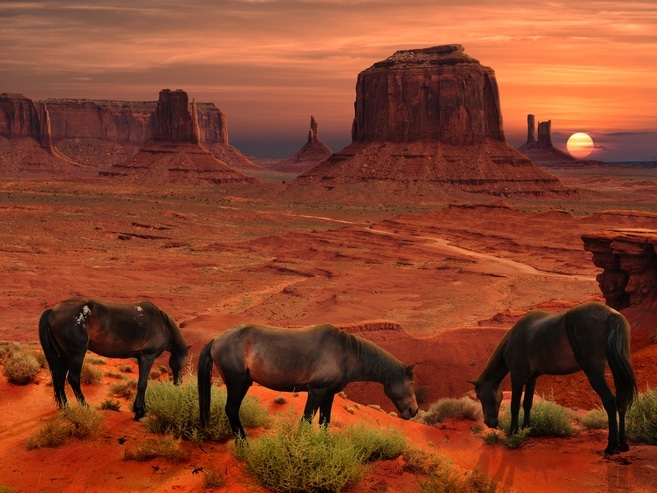 Pferde - Monument Valley - USA
