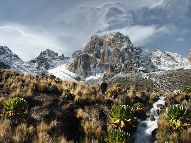 Natürlich in Bewegung – Mount-Kenya-Besteigung bis zum Gipfel