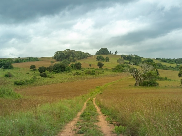 Straße - Nyika-Nationalpark - Malawi