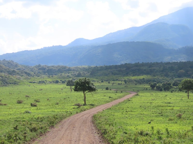 Landschaft - Arusha - Tansania
