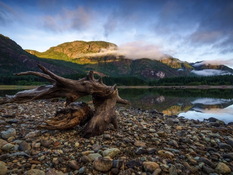 Buttle Lake - Strathcona Park - Kanada