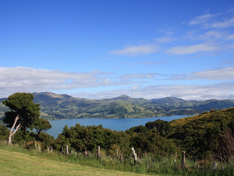 Akaroa Peninsula - Neuseeland