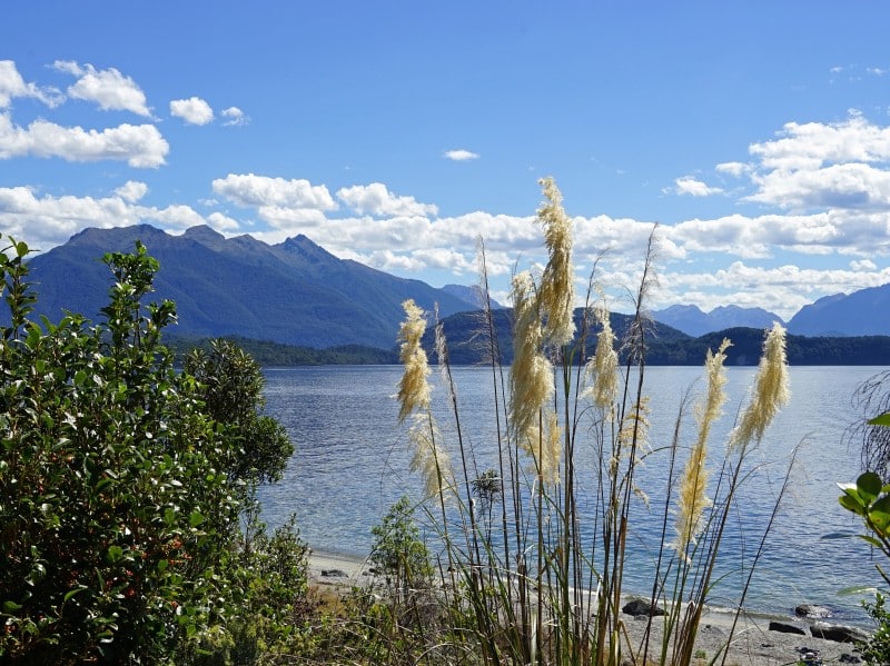 Lake in Te Anau in NZ