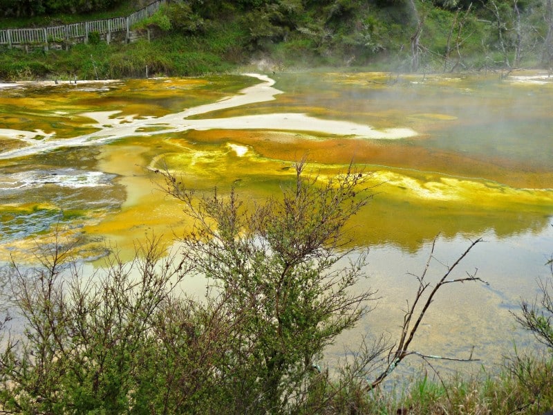 Rotorua - Neuseeland