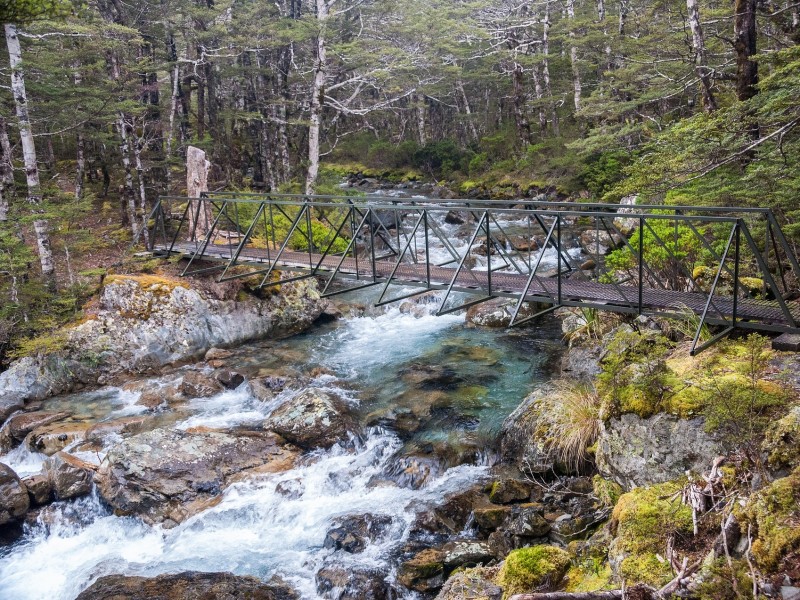 Nelson, National Park, New Zealand
