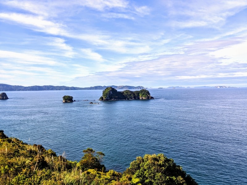 Ocean View in Coromandel