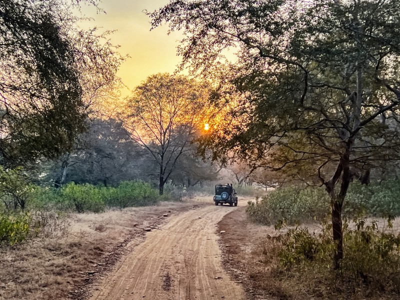 Ranthambore Tiger Preserve - Indien