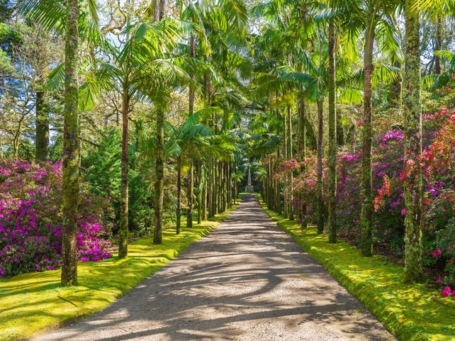 Terra Nostra Park - São Miguel - Azoren