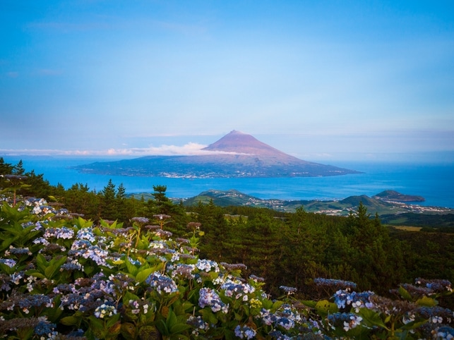 Mount Pico - Horta - Azoren