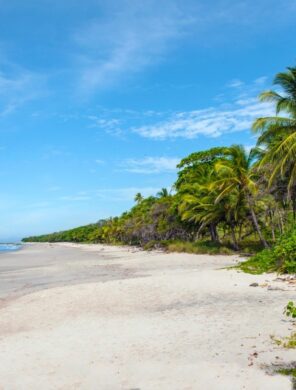 Pazifikküste Costa Rica