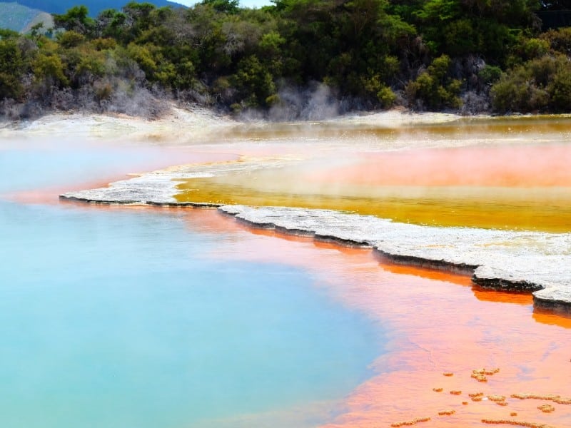 Hot springs in Rotorua