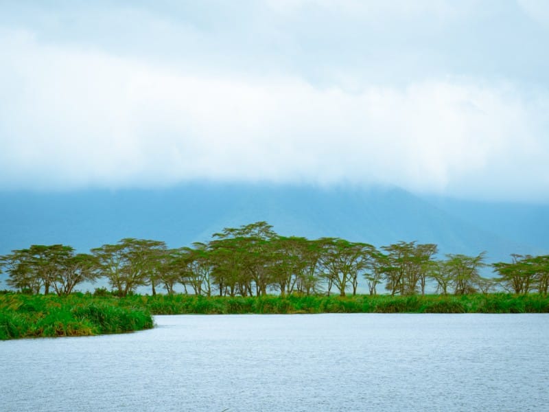 Kraterlandschaft - Ngorongoro - Tansania