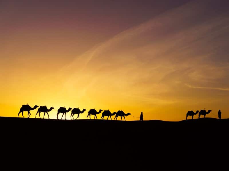 Karawane - Merzouga - Marokko