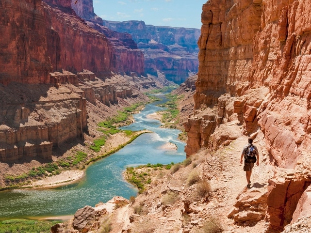 Wanderer - Grand Canyon - USA