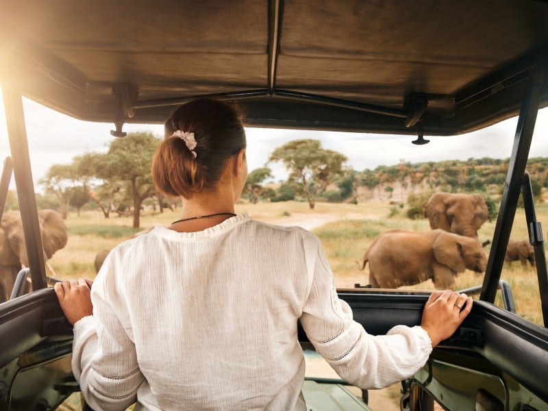 Frau auf Safari - Tarangire NP -Tansania