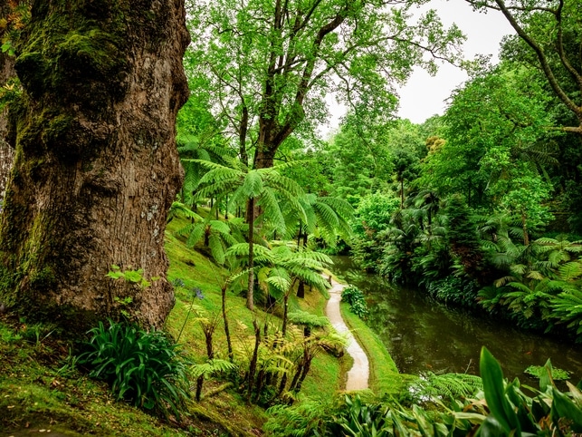 Garten - Terra Nostra Park - Azoren
