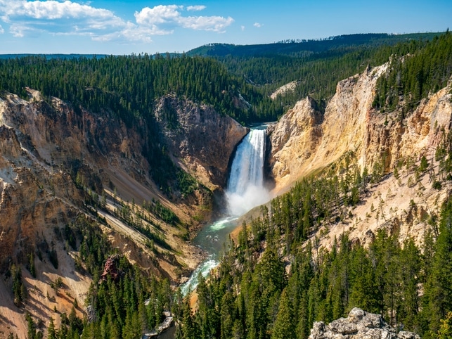 Lower Falls - Yellowstone NP - USA