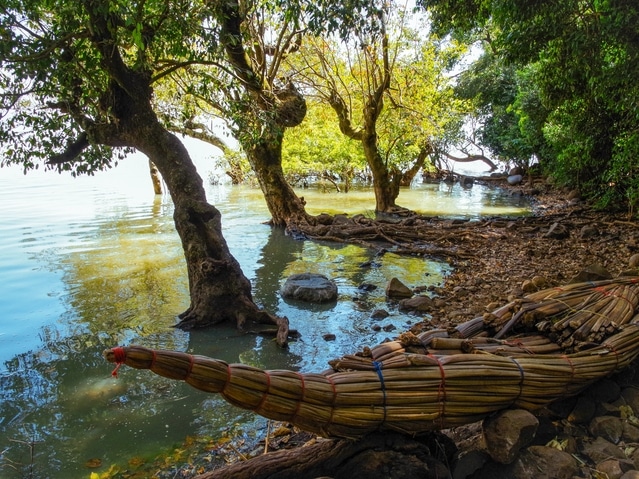 Papyrus-Boot - Tana-See - Äthiopien