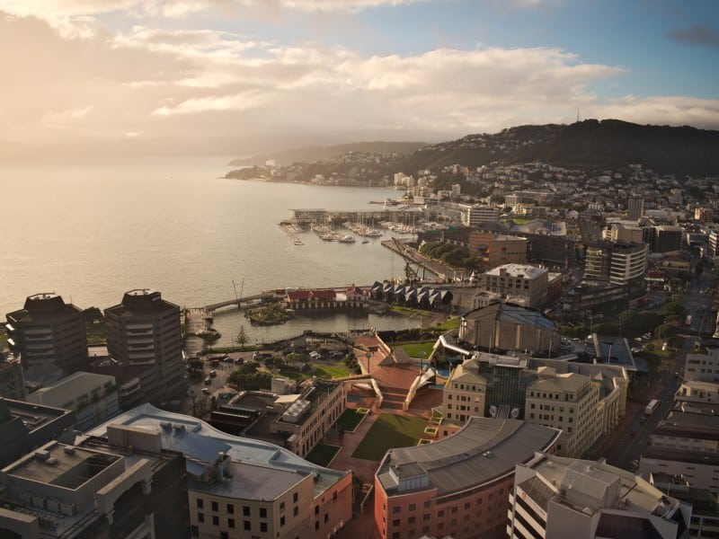 Aerial Küste - Wellington - Neuseeland