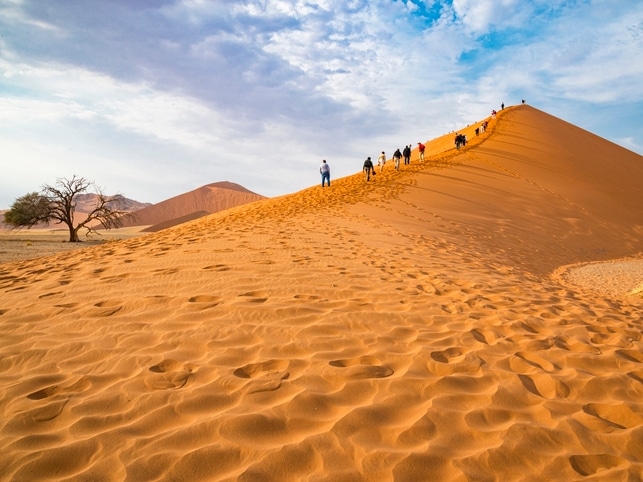 Düne 45 mit Menschen - Namib - Namibia