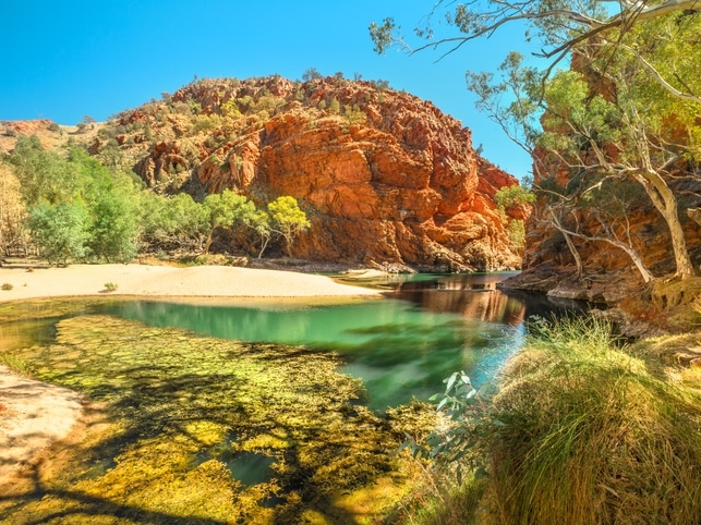Waterhole -MacDonnell Ranges- Australien