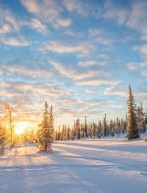Landschaft - Saariselkä - Lappland