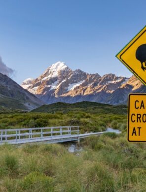 Kiwi-Schild - Mount Cook - Neuseeland