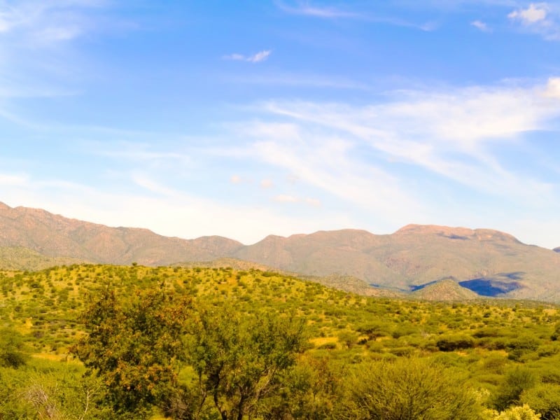 Landschaft - Nähe Windhoek - Namibia