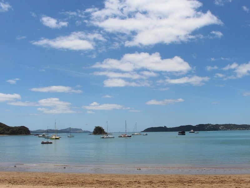 Beach in Paihia