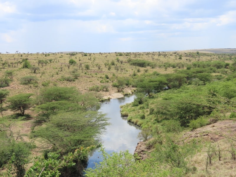 Fluss - Masai Mara - Kenia