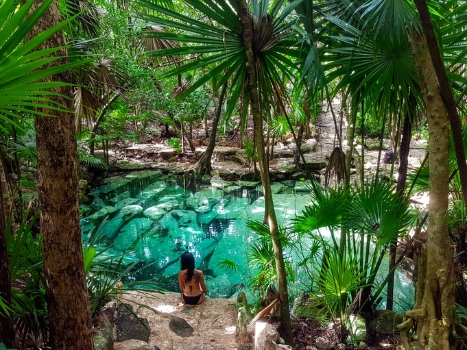 Cenote Azul - Riviera Maya - Mexiko