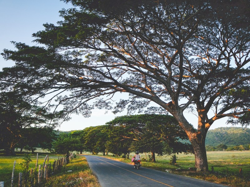 Nature in San Juan del Sur