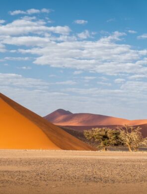 Naukluft NP - Namib Wüste - Namibia