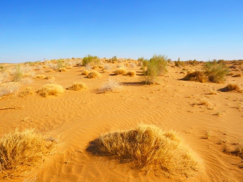 Wüste Usbekistan