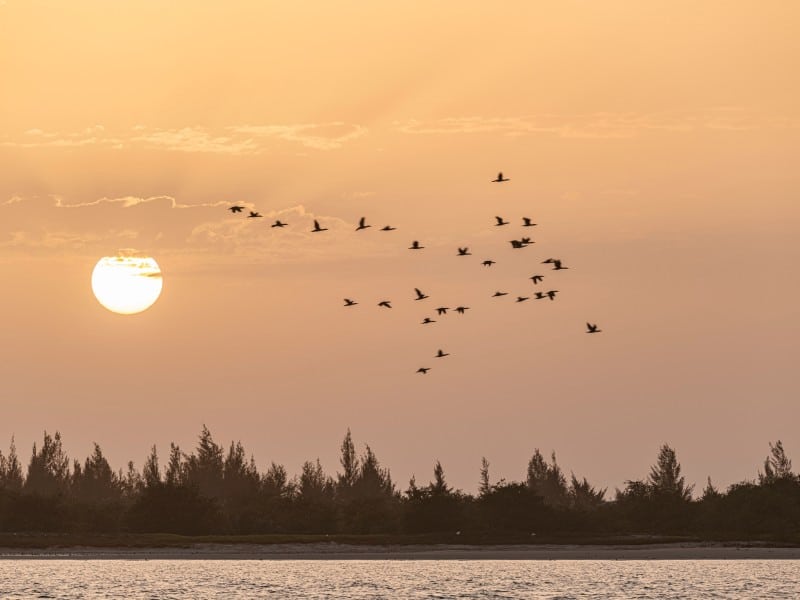 Sonnenuntergang - Petite Côte - Senegal