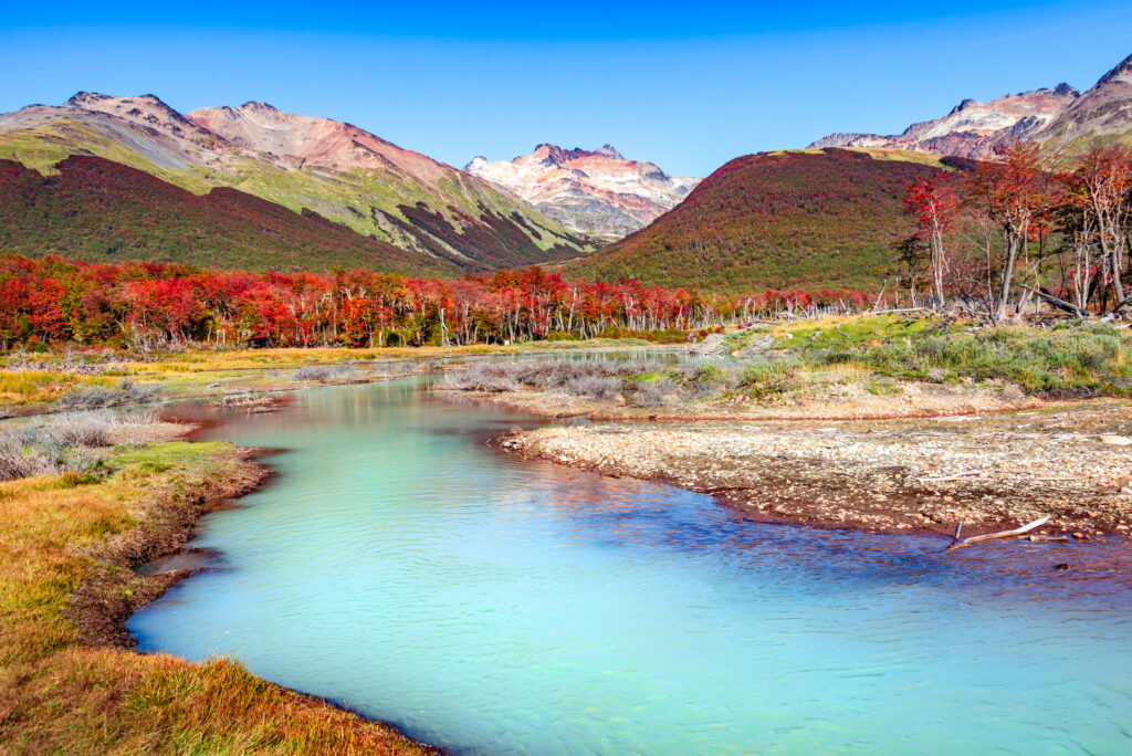 PATAGONIA PUR