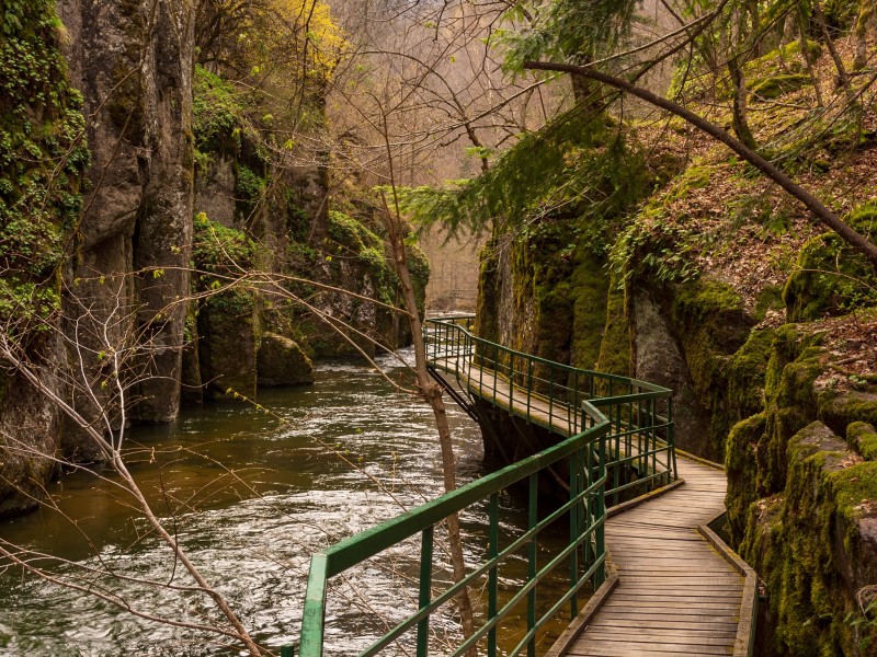 Wald - Devin - Bulgarien
