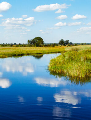 Im Bwabwata Nationalpark