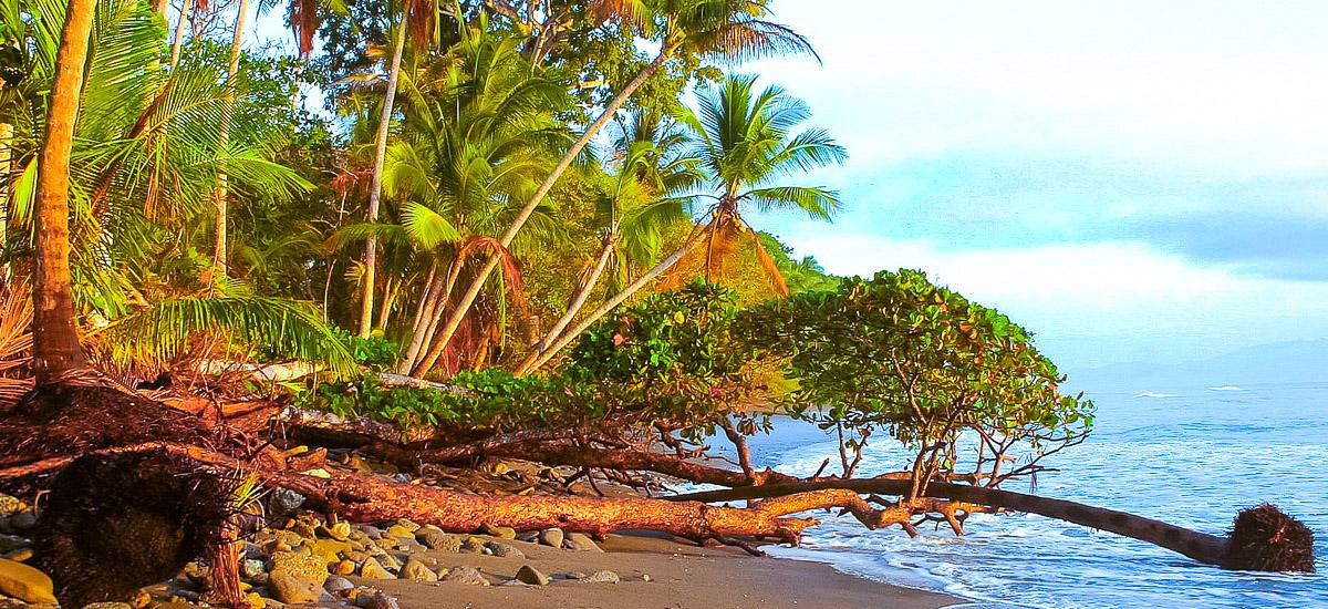 Strand am Golfo Dulce