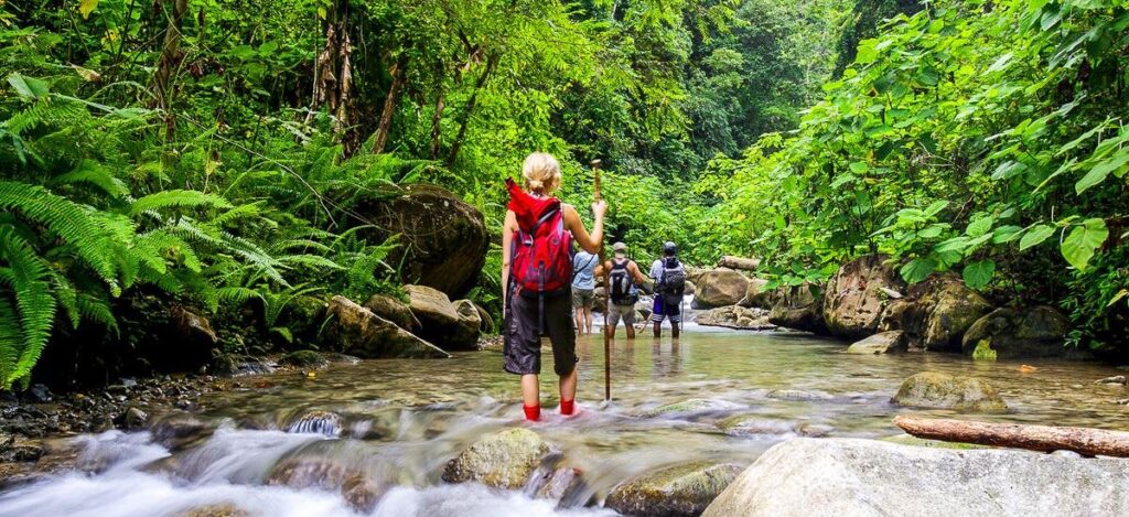 Natürlich erleben – Eine unvergessliche Reise durch das Herz von Tortuguero