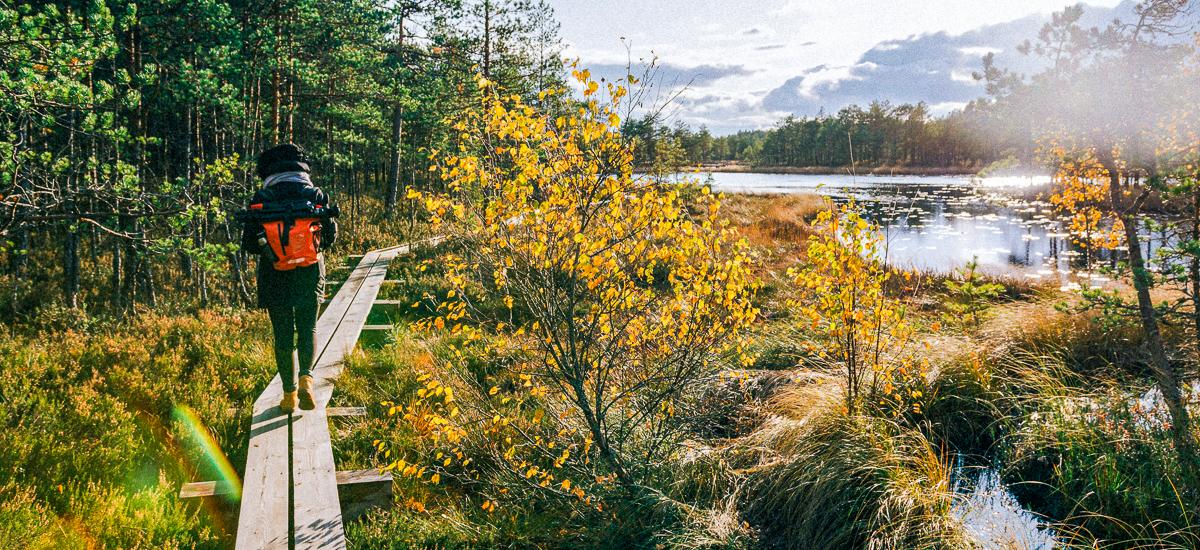 Wandern im Lahemaa Nationalpark
