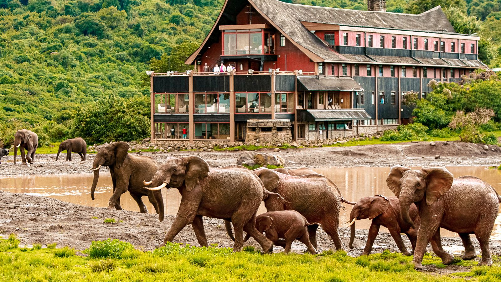The Ark Lodge