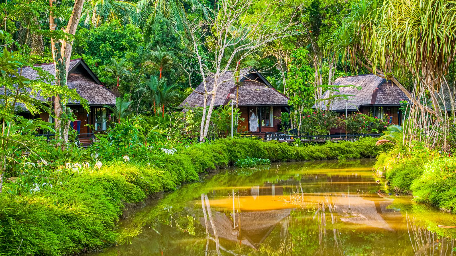 Sepilok Nature Resort